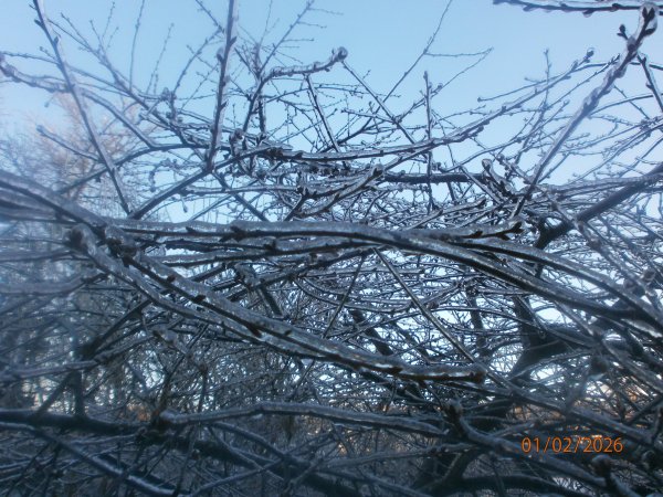 P2010002
