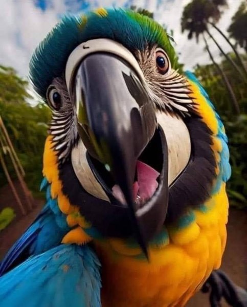 c9a0387e9e9bfbcf4fa4812d85c96