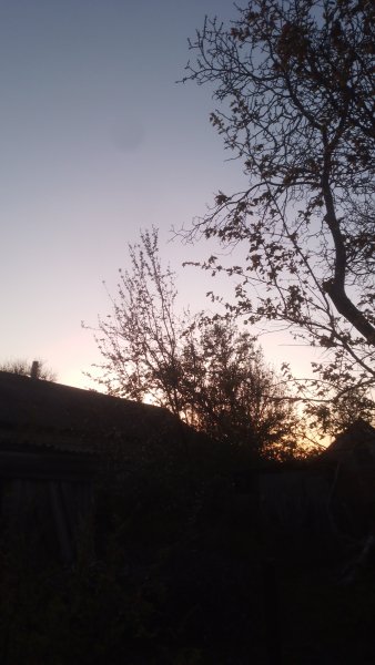 picture_411934144