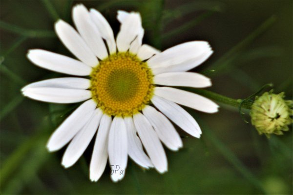 62ffbd6526b57 IMG 6536