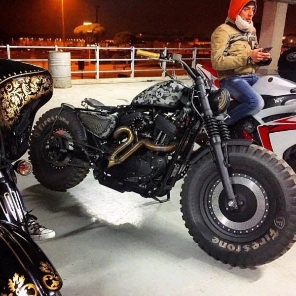 harleydavidson softail motorcycle