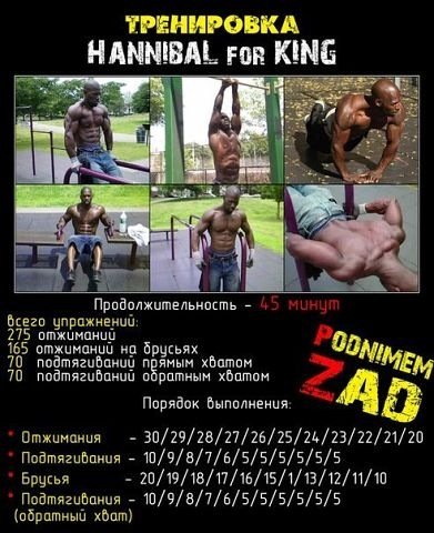Программа тренеровок