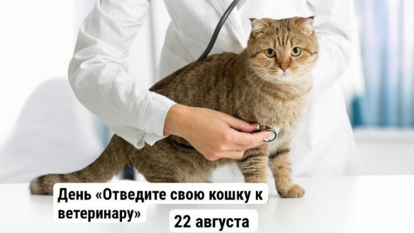 08-22
