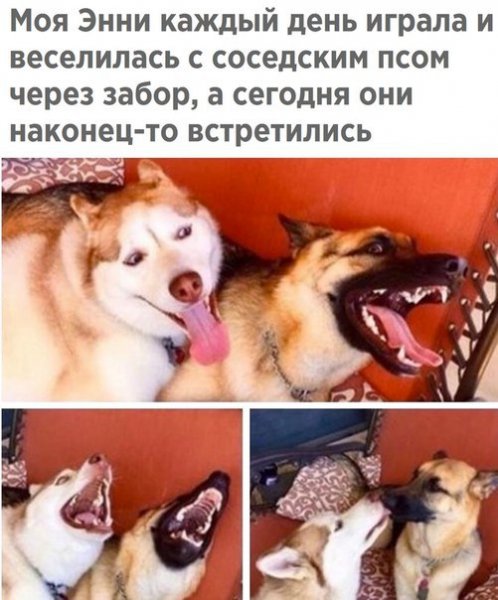 yqvES4MEkYY