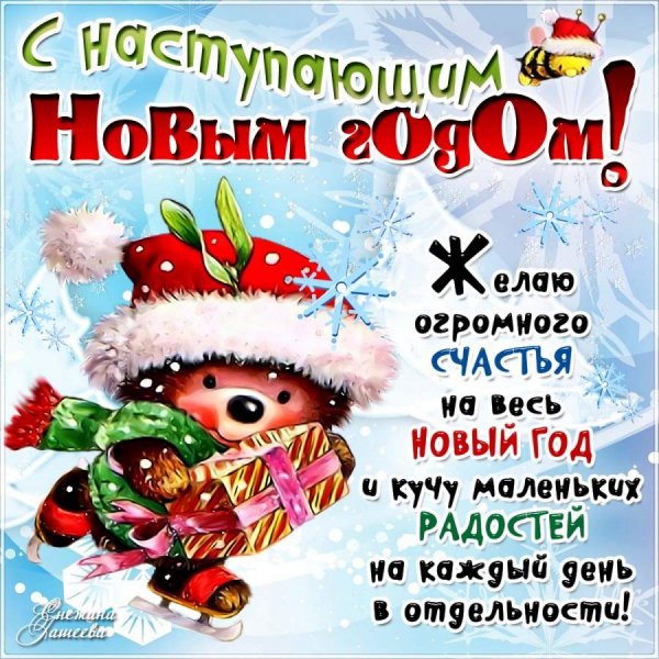 IMG-20201231-WA0013