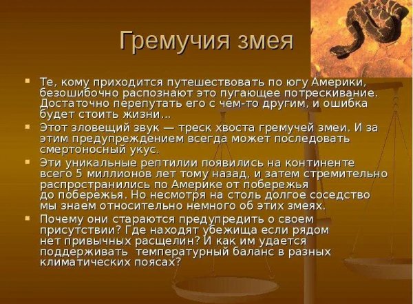 Гремучая змея
