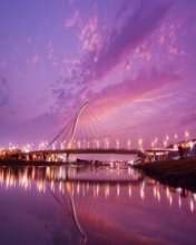 picture_104183579
