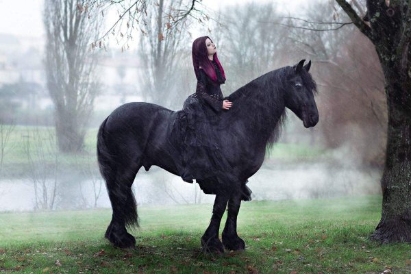 Gothic