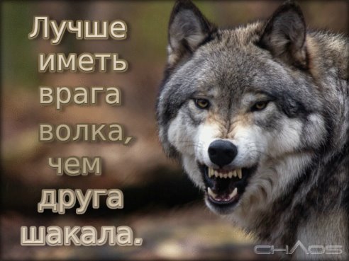 getImage(679)