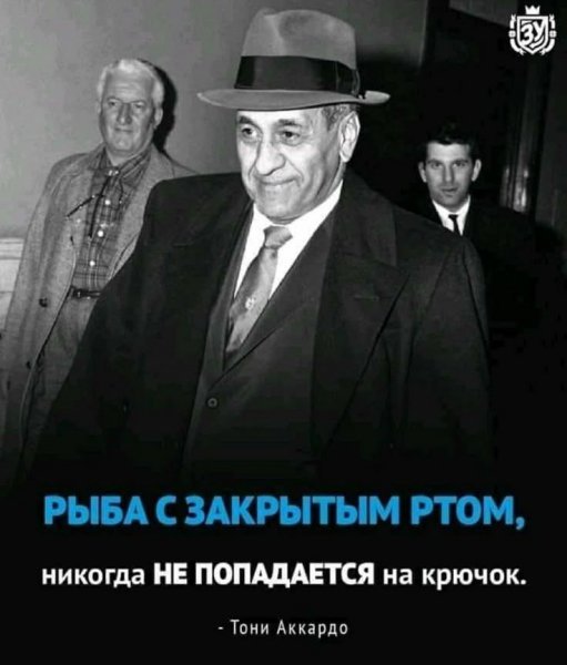p.600.600.0