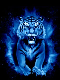 Neon tigr krasavec