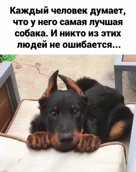 Так!