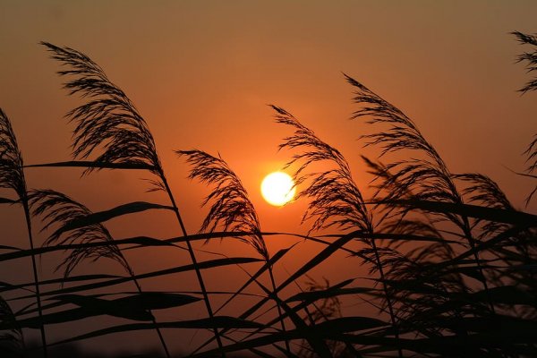 Sunset-nature-landscape-evening