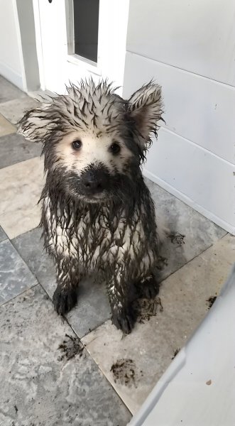 Было весело