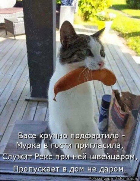 Опаньки!
