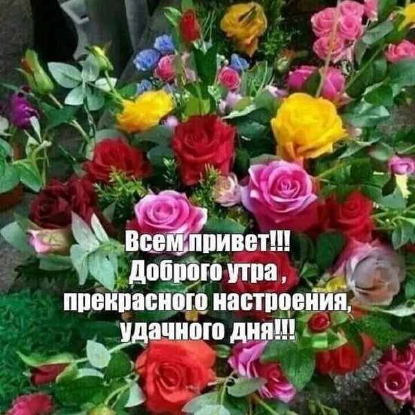 Всем привет!!!