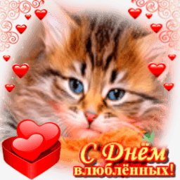 getImage(859)