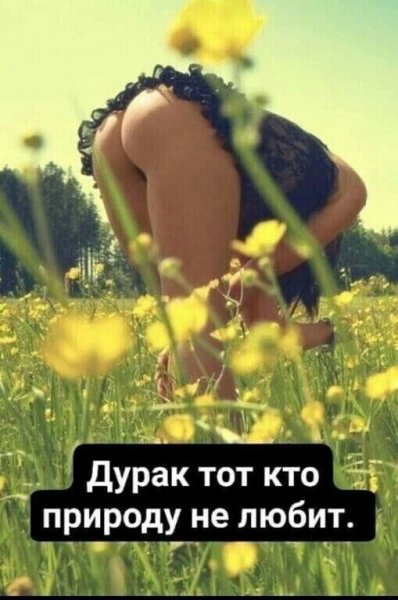 Юмор