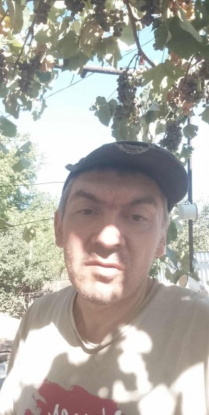 picture_396412092
