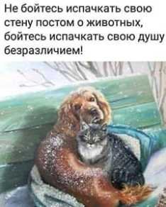 Не бойтесь
