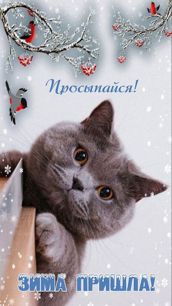 Cbdcfa390c5348034b1b4d38a56e3b00