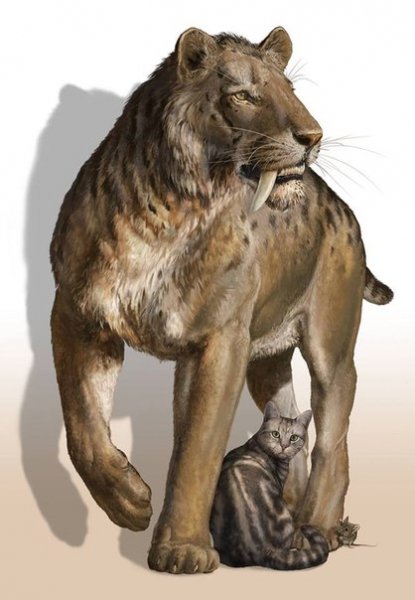Sablezubiy tigr