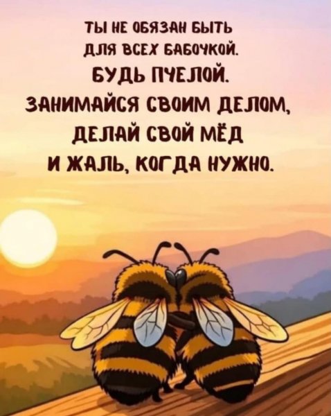 IMG-20260809-WA0065