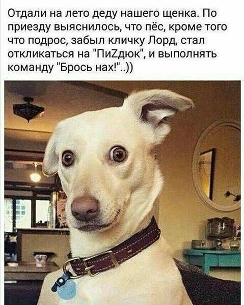 p.600.600.0