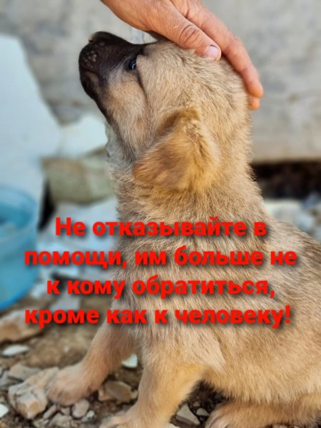 Да!