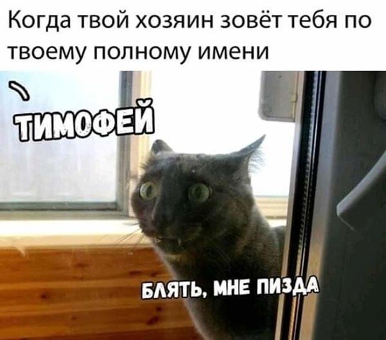 image (24)