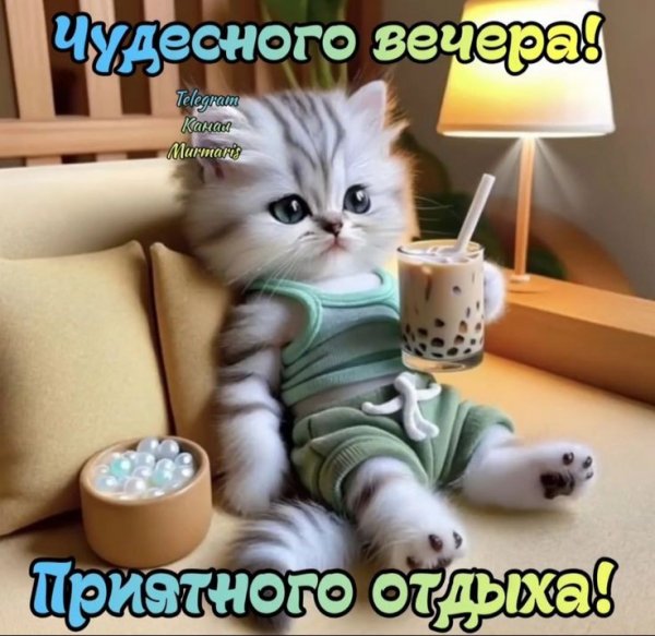 fbcccc495e66cc7bb9fd4c3f1a8d