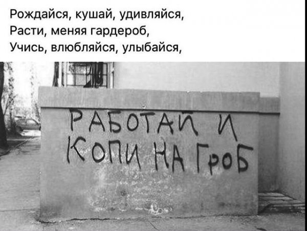 K67ltrruyUJ2SkflwnViIqZjprh6LZP4CzXvtAOMC lmUVf5zd30oucSkuFD