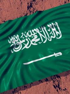 SAUDI ARABIA 240X320 461513