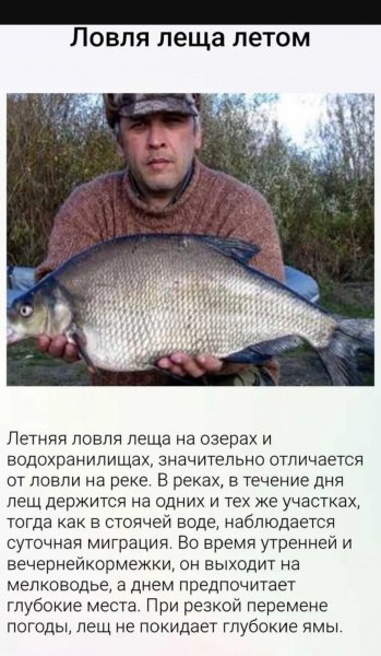 Ловля леща летом