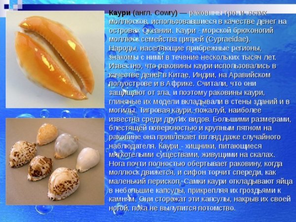 Каури