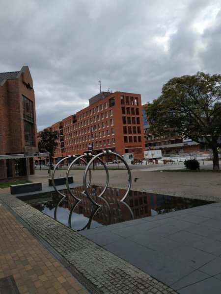 IMG-20190716-WA0008