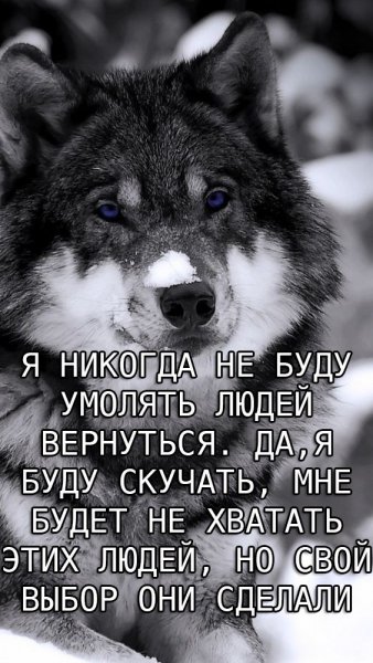 3DE05C6B-6520-40E1-8F75-1A122EF771D8