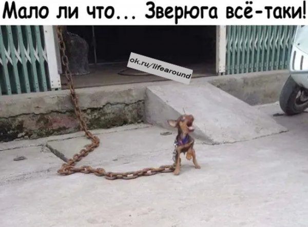 imgonline-com-ua-resize-oguse4gazf6uzy99