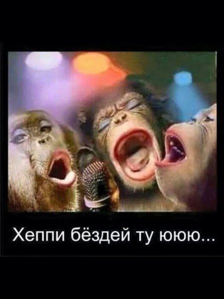 IMG-20191101-WA0003