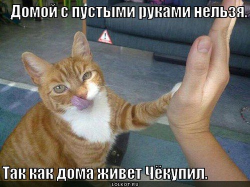 Дома живёт Чекупил