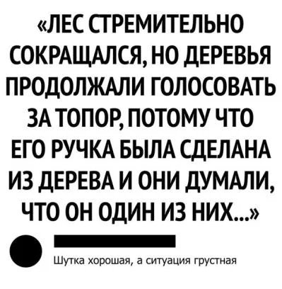 a717a44cb8b2a0778830cac8aa5cf