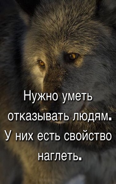 IMG 20190702 175328 692