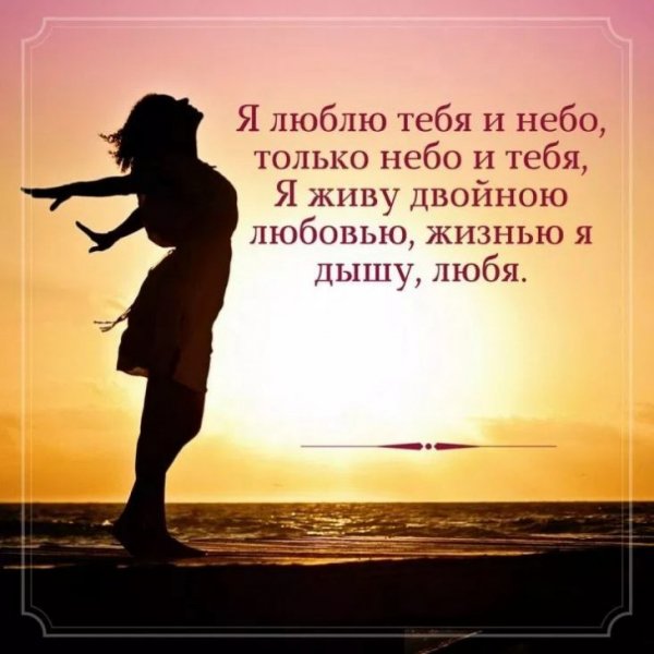 c6c721797e4d7750c8d00e3c4f080-730x730