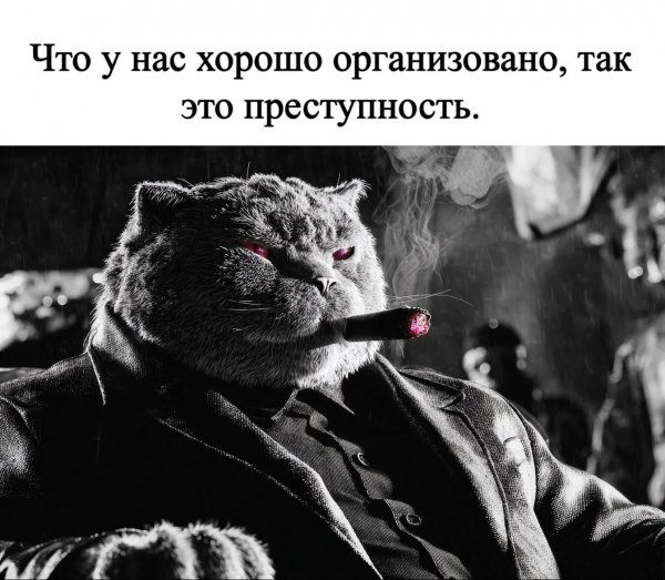 IMG 20260814 212714