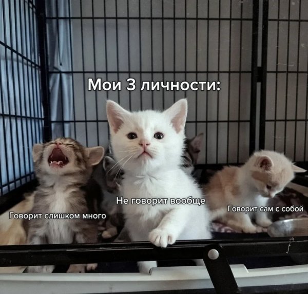 В одном флаконе)