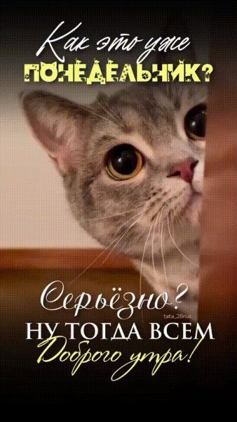 Всем доброго утра!