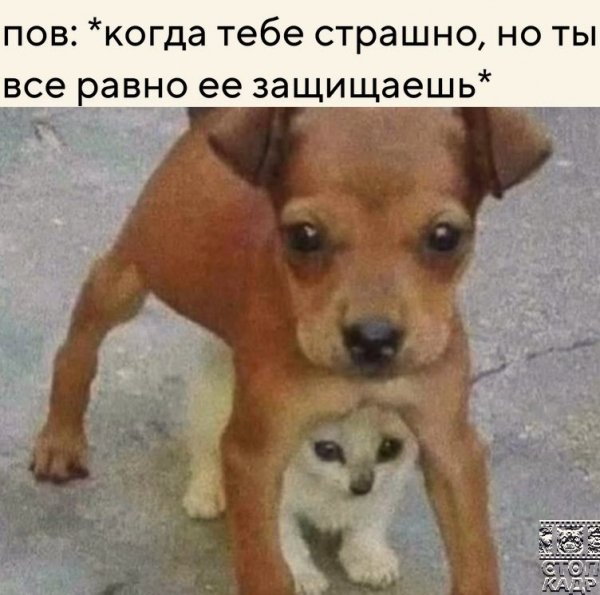 P5opbrO5twA