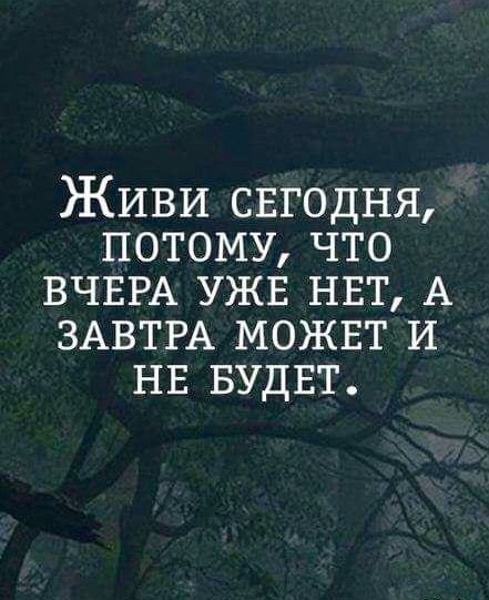 Живи сегодня...