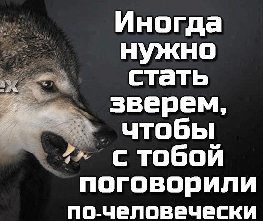 IMG 20190702 174816 364