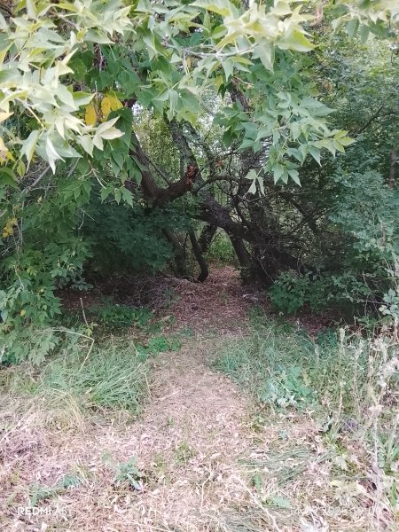 picture_396438538
